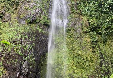 Tocht Noords wandelen Capesterre-Belle-Eau - Chute  - Photo