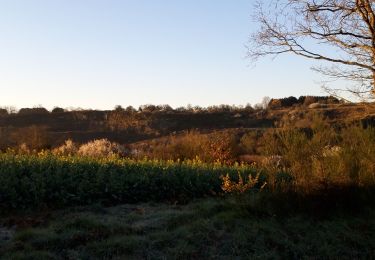 Randonnée Marche Sèvremoine - st crespin sur moine - Photo
