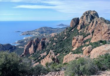 Trail Walking Saint-Raphaël - Pic du cap Roux, d'Aurelle 02-04-2025 - Photo