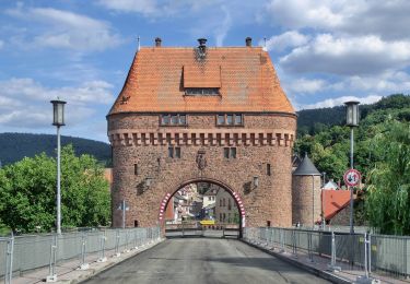 Randonnée A pied Miltenberg - Rundwanderweg Miltenberg 2: Ottosteinweg - Photo