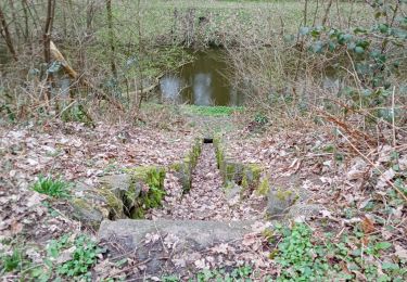 Trail Walking Péruwelz - vieux canal callenelle avec mon toutou - Photo