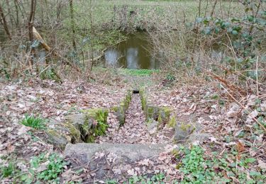 Tour Wandern Péruwelz - vieux canal callenelle avec mon toutou - Photo