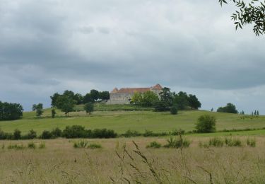 Randonnée A pied Loubès-Bernac - FR-PR - Photo