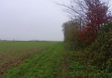 Randonnée V.T.T. Charleroi - VTT de Ransart à Marbais - Photo