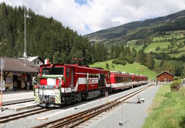 Tour Zu Fuß Gemeinde Wald im Pinzgau - Wanderweg 24 - Photo