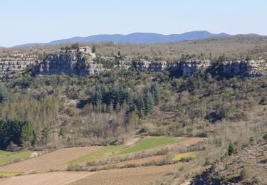 Randonnée Marche Les Vans - Germagnon - Photo