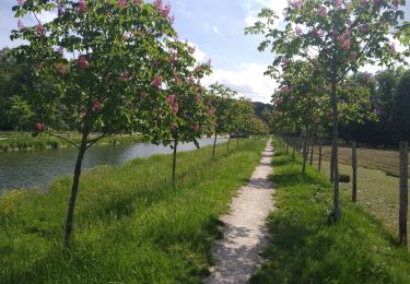 Trail Mountain bike Port-sur-Saône - VTT Montigny les Vesoul - Photo