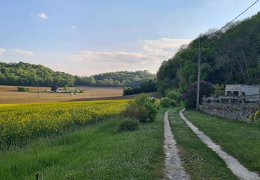 Trail Walking Fourdrain - circuit forêt de Saint-gobain- départ Fourdrain  - Photo