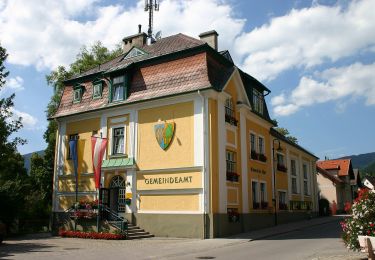 Excursión A pie Gemeinde Puchberg am Schneeberg - Puchberg Laufstrecke 1 - Photo