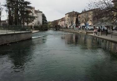 Tour Wandern L'Isle-sur-la-Sorgue - Ille sur la Sorgue  - Photo