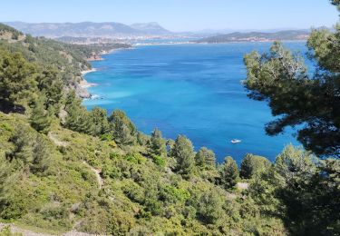 Excursión Senderismo La Seyne-sur-Mer - Fabregas, parking des bœufs, plage des nudistes, notre dans de mai - Photo