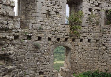 Trail Walking Rouet - les falaises de l'hortus - Photo