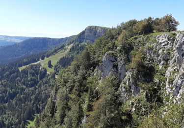 Trail Walking Métabief - Metabief Mont D'or - Photo