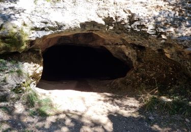 Randonnée Marche Larroque - st martin d'urbens - Photo