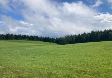 Tocht Stappen Saint-Bresson - Saint-Bresson  - Photo