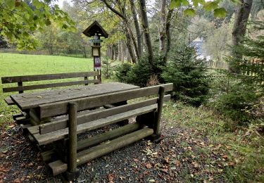 Randonnée A pied Rosenthal am Rennsteig - Waldhaus-Weg R14 - Photo