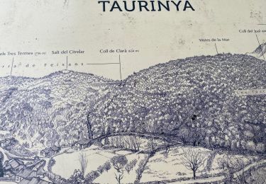 Tour Wandern Taurinya - Site minier du salver - Photo