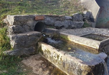 Tour Wandern Bellignat - tour du Chatelard - Photo