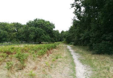 Excursión Senderismo Le Haillan - Parc du ruisseau - Photo