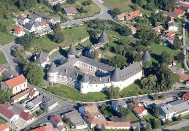 Percorso A piedi Gemeinde Schwarzenbach - Kobersdorfweg - Photo