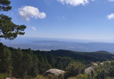 Tour Wandern Porto-Vecchio - Punta di a Vacca Morta - Photo