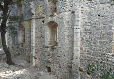 Tocht Stappen Valflaunès - autour fe valfaunes 34 et par les crêtes - Photo