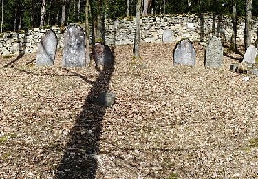 Excursión A pie Hradiště - Naučná stezka údolím Hradišťského potoka - Photo