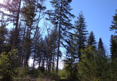 Tour Wandern Antheuil - Saint JeandeBoeuf- Antheuil-Crugey-Labussièresur Ouche - Photo