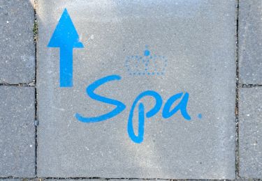 Tocht Te voet Spa - La Ligne Bleue (blauwe stoeptegels op de grond) - Photo