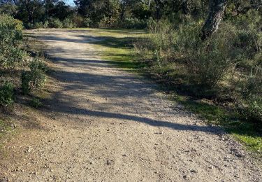 Tocht Stappen Bagnols-en-Forêt - Bagnols-en-Forêt la verrerie  - Photo