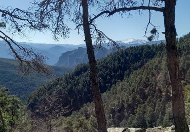 Tocht Stappen Braux - Rando Pieŕre qui tremble Chabrieres Peloussis Argenton  - Photo