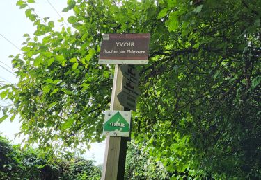 Tocht Stappen Yvoir - Yvoir 030924 - Photo