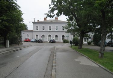 Tocht Te voet Gemeinde Sollenau - Eisdiele Harrer Runde - Photo