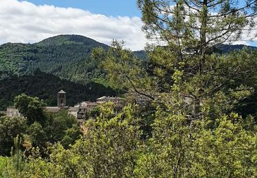 Tocht Stappen Saint-Germain-de-Calberte - Stevenson St Germain de Calberte  le col St pierre - Photo