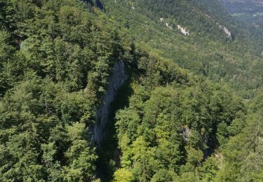 Tocht Stappen Villard-Saint-Sauveur - 39 Villard St Sauveur - cascades de. flumen-saut du chien - Photo