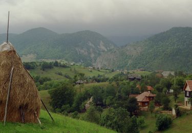 Trail On foot Unknown - Cabana Curmătura-Valea Vlădușca-Casa Folea - Photo