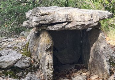 Trail Walking Orgnac-l'Aven - plaine de ronze - Photo