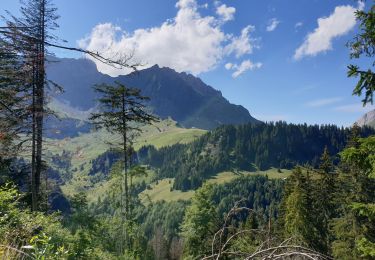 Percorso Mountainbike La Giettaz - la giettaz - Photo