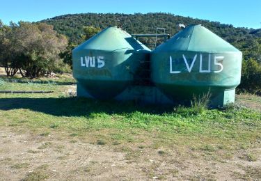 Excursión Senderismo Le Lavandou - les hauts de Pramousquier - Photo