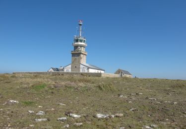 Percorso A piedi Plogoff - Circuit de la Pointe du Raz - Photo