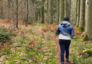 Trail Walking Viroinval - Viroinval 19/02/23  - Photo
