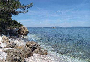 Tocht Stappen Martigues - Parc de Figuerolles 26.5.24 - Photo