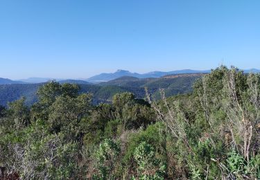 Tour Nordic Walking Hyères - Séjour - Les Deuxièmes Borrels - IBP 79 Rouge - Photo