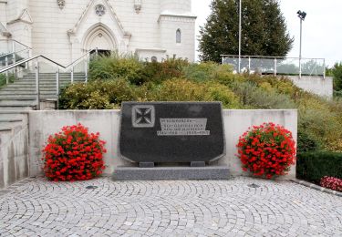 Tocht Te voet Gemeinde Müllendorf - Müllendorf - Beim Juden - Photo