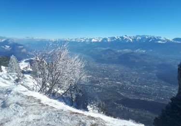 Tocht Sneeuwschoenen Saint-Nizier-du-Moucherotte - Moucherotte en circuit partiel - Photo