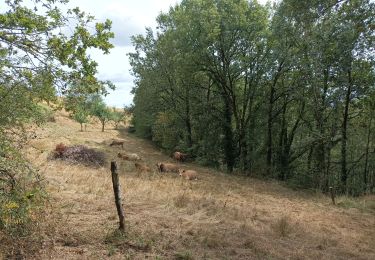 Tour Wandern Golinhac - ferme de Bessoule-Co'ques - Photo