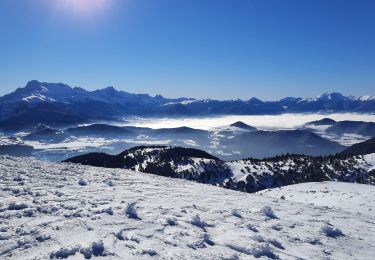 Randonnée Marche La Motte-d'Aveillans - Col du Sénépy et Pierre Plantée depuis les Signaraux - Photo