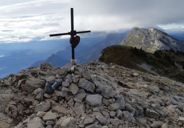 Tocht Stappen Lans-en-Vercors - 38 pic st michel - Photo