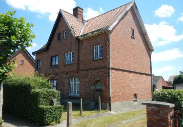Tocht Te voet Beringen - be-MINE Dwars door het groen - Photo
