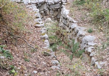 Trail Walking Comps-sur-Artuby - 2023-10-17 Le Fayet  - Photo